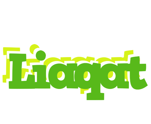 Liaqat picnic logo