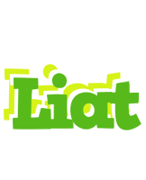 Liat picnic logo