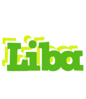 Liba picnic logo