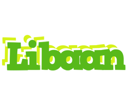 Libaan picnic logo