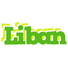 Liban picnic logo