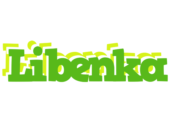 Libenka picnic logo