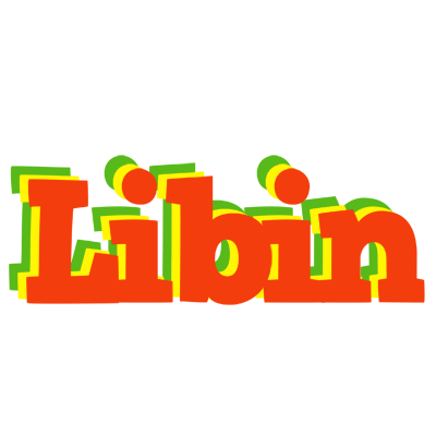 Libin bbq logo