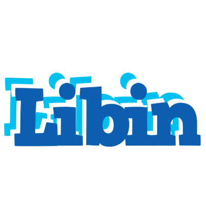 Libin business logo