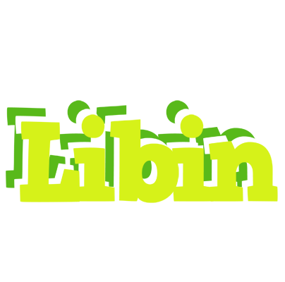 Libin citrus logo