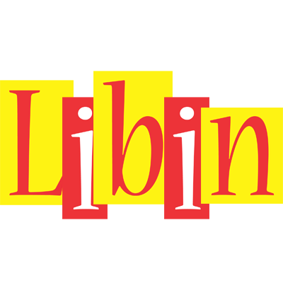 Libin errors logo