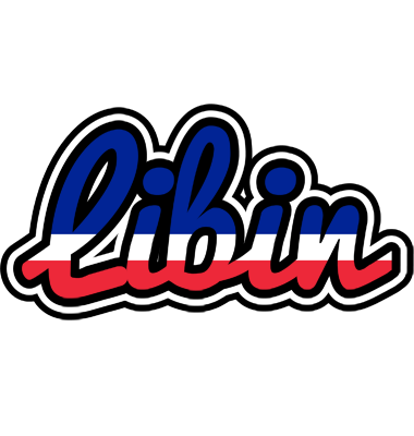Libin france logo