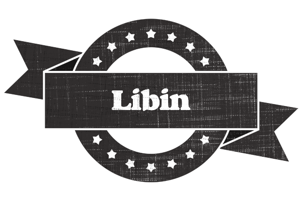 Libin grunge logo