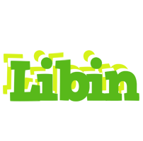Libin picnic logo