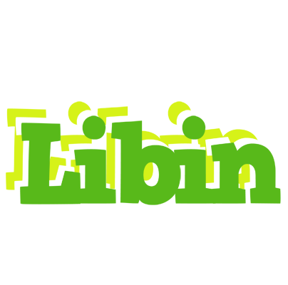 Libin picnic logo