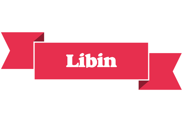 Libin sale logo