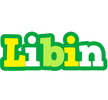 Libin soccer logo