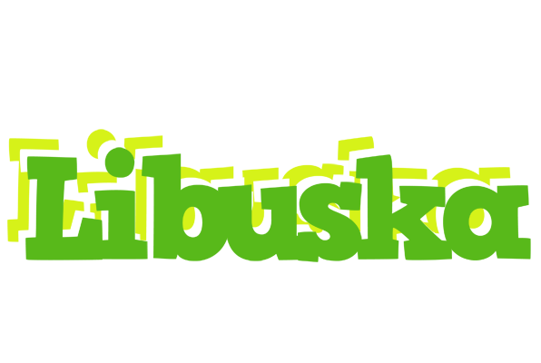 Libuska picnic logo