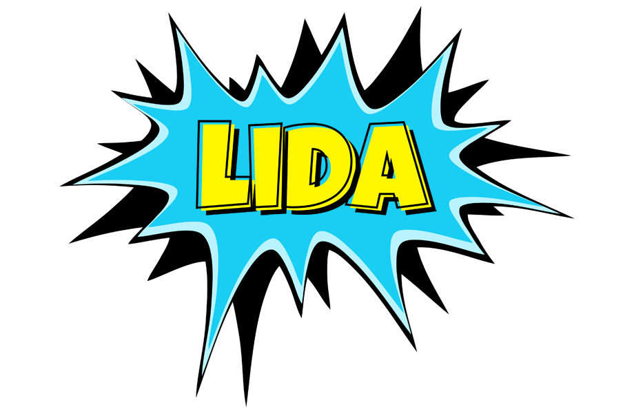 Lida amazing logo