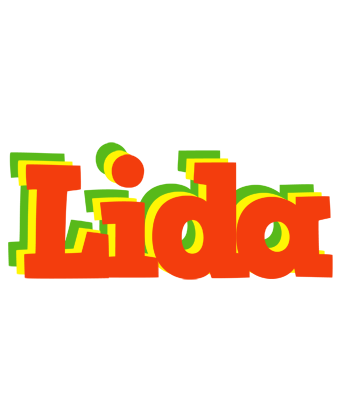 Lida bbq logo