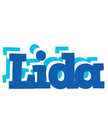 Lida business logo