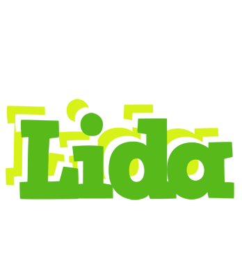 Lida picnic logo