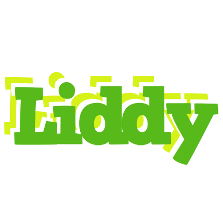 Liddy picnic logo