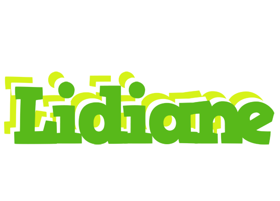 Lidiane picnic logo