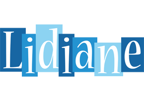 Lidiane winter logo