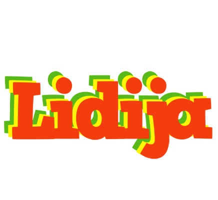 Lidija bbq logo