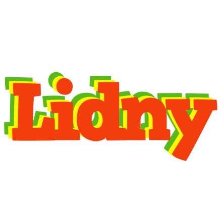 Lidny bbq logo