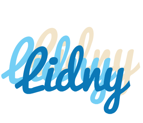 Lidny breeze logo