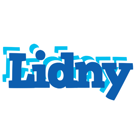 Lidny business logo