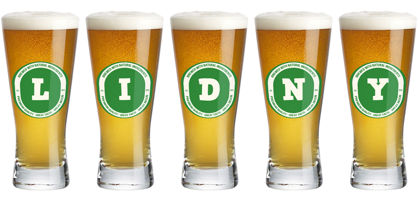 Lidny lager logo