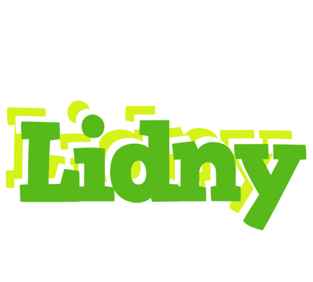 Lidny picnic logo