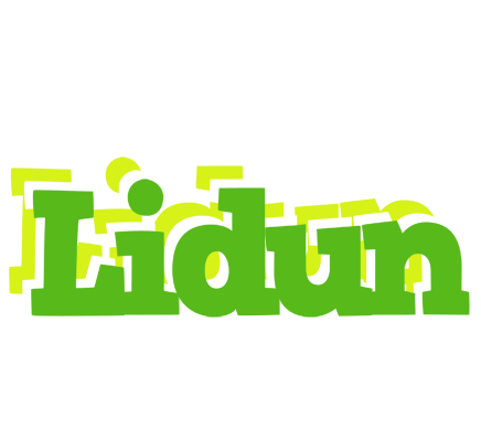 Lidun picnic logo