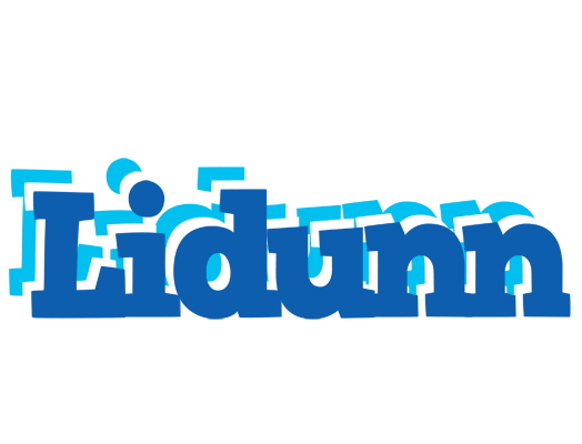 Lidunn business logo