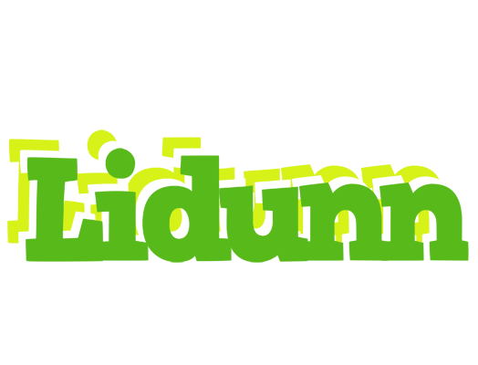 Lidunn picnic logo