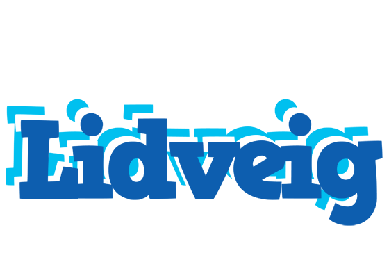 Lidveig business logo