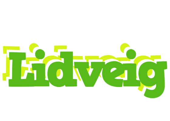 Lidveig picnic logo
