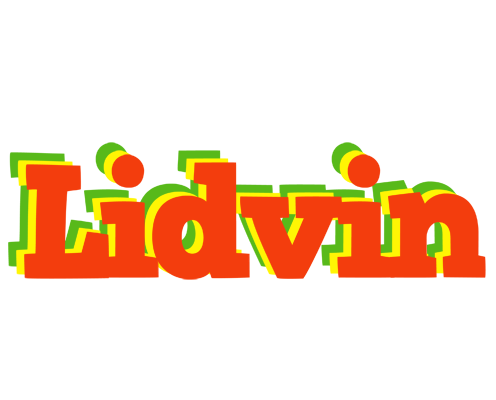 Lidvin bbq logo