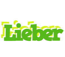 Lieber picnic logo