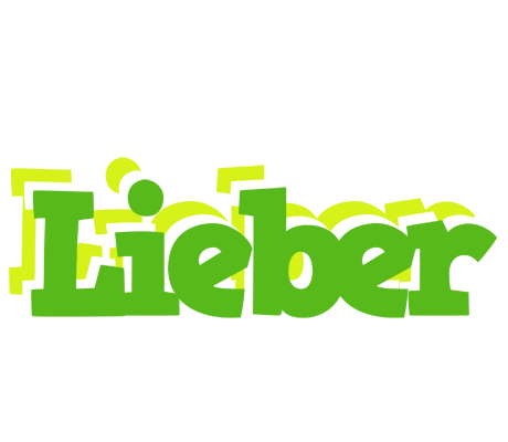 Lieber picnic logo