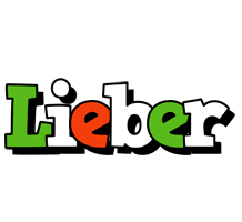 Lieber venezia logo