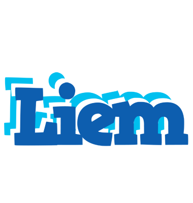 Liem business logo