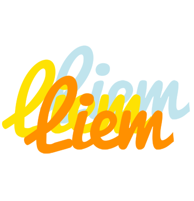 Liem energy logo