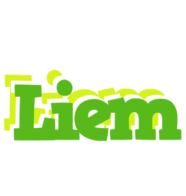 Liem picnic logo