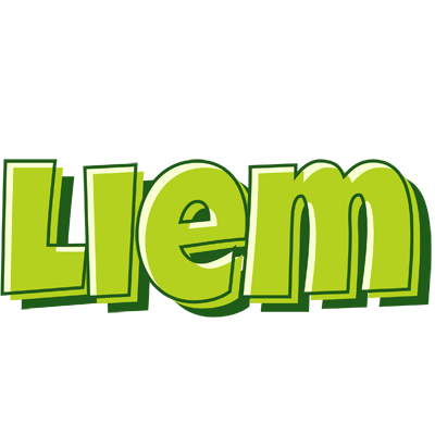 Liem summer logo