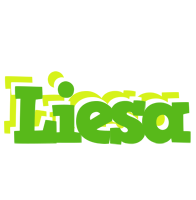 Liesa picnic logo
