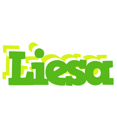 Liesa picnic logo