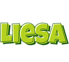 Liesa summer logo