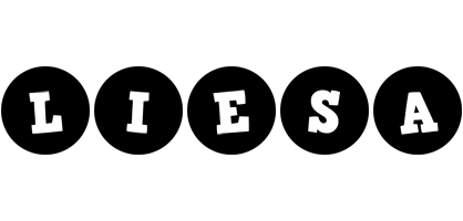 Liesa tools logo