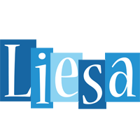 Liesa winter logo