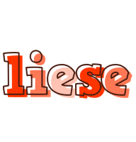 Liese paint logo