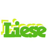 Liese picnic logo